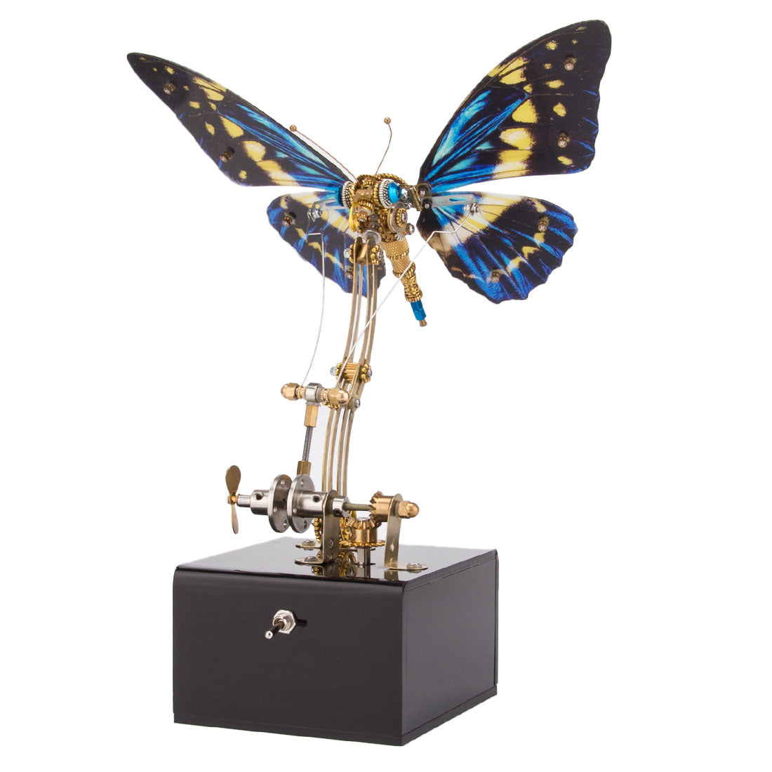 Dynamic Butterfly with Music Box (Blue)