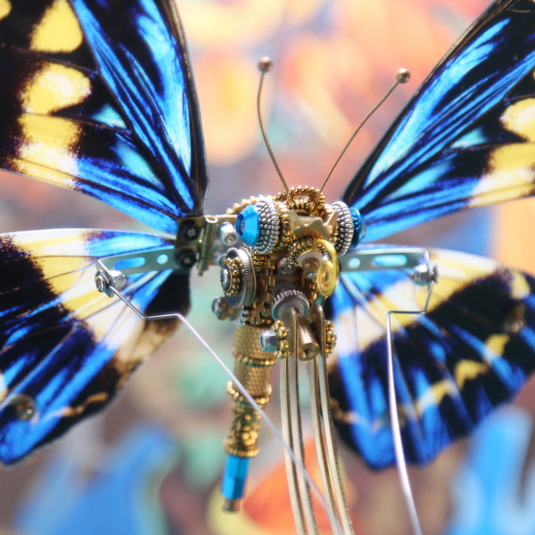 Dynamic Butterfly with Music Box (Blue)