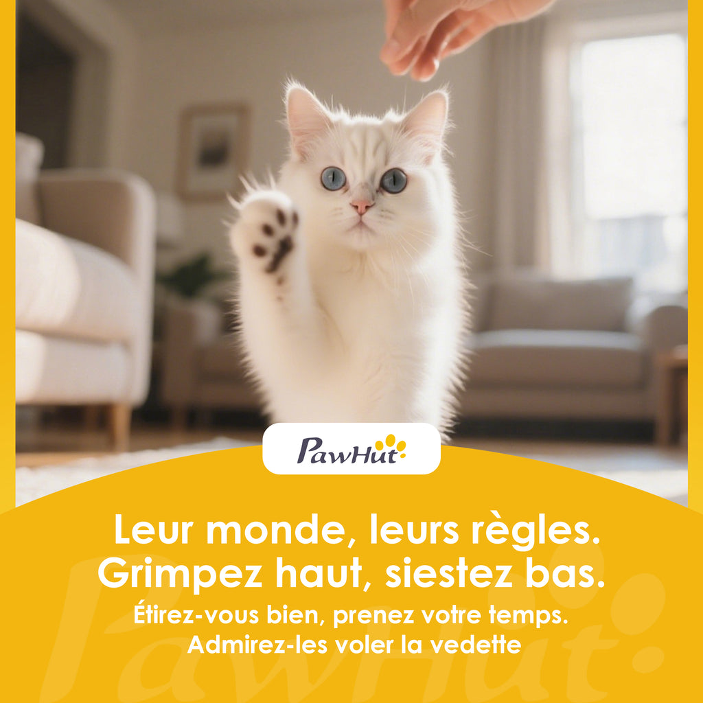 Arbre à chat du sol au plafond, tour à chat réglable en hauteur 225-255 cm à plusieurs niveaux, revêtement peluche, gris