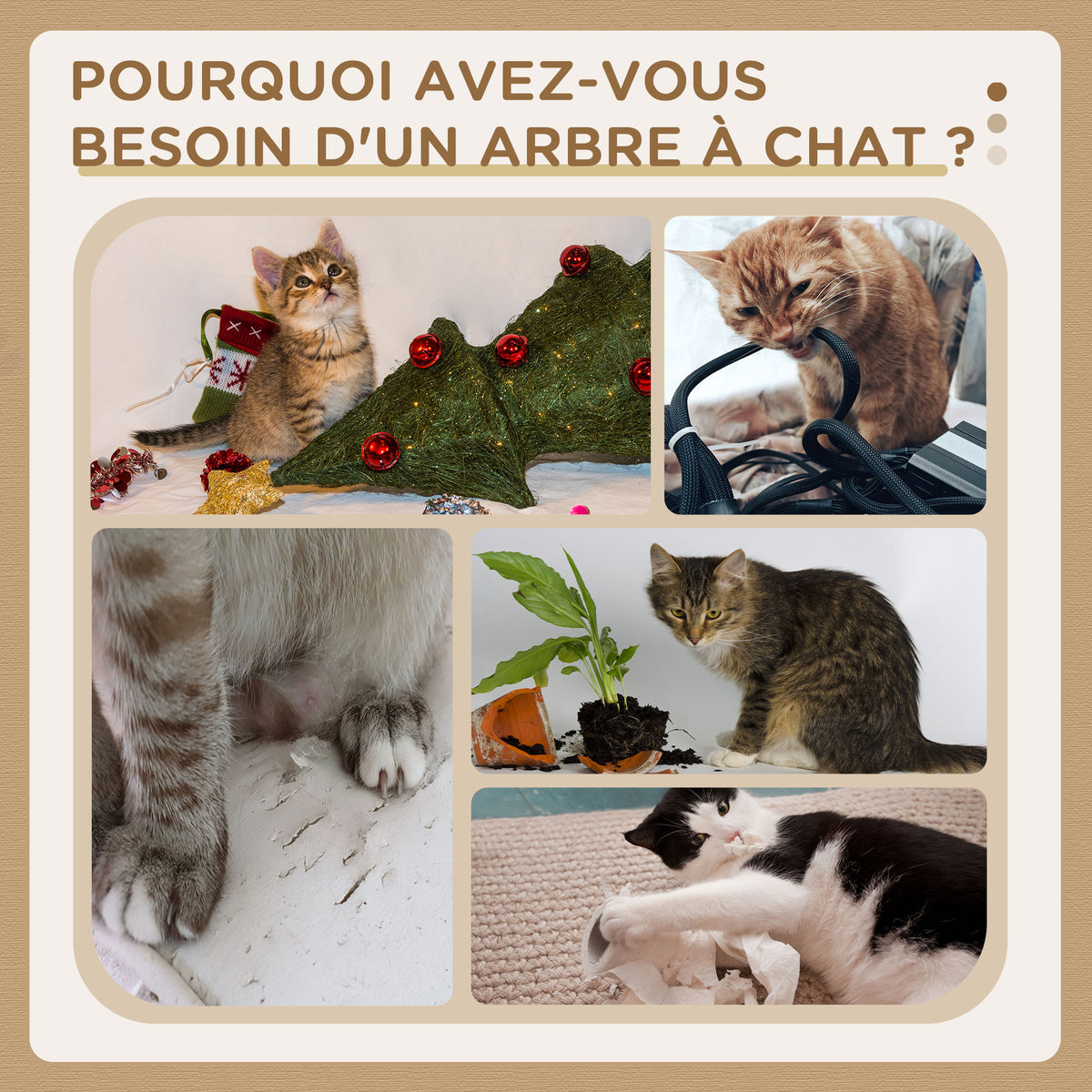 Arbre à chats design contemporain griffoirs grattoirs sisal naturel niche plate-formes hamac boule beige