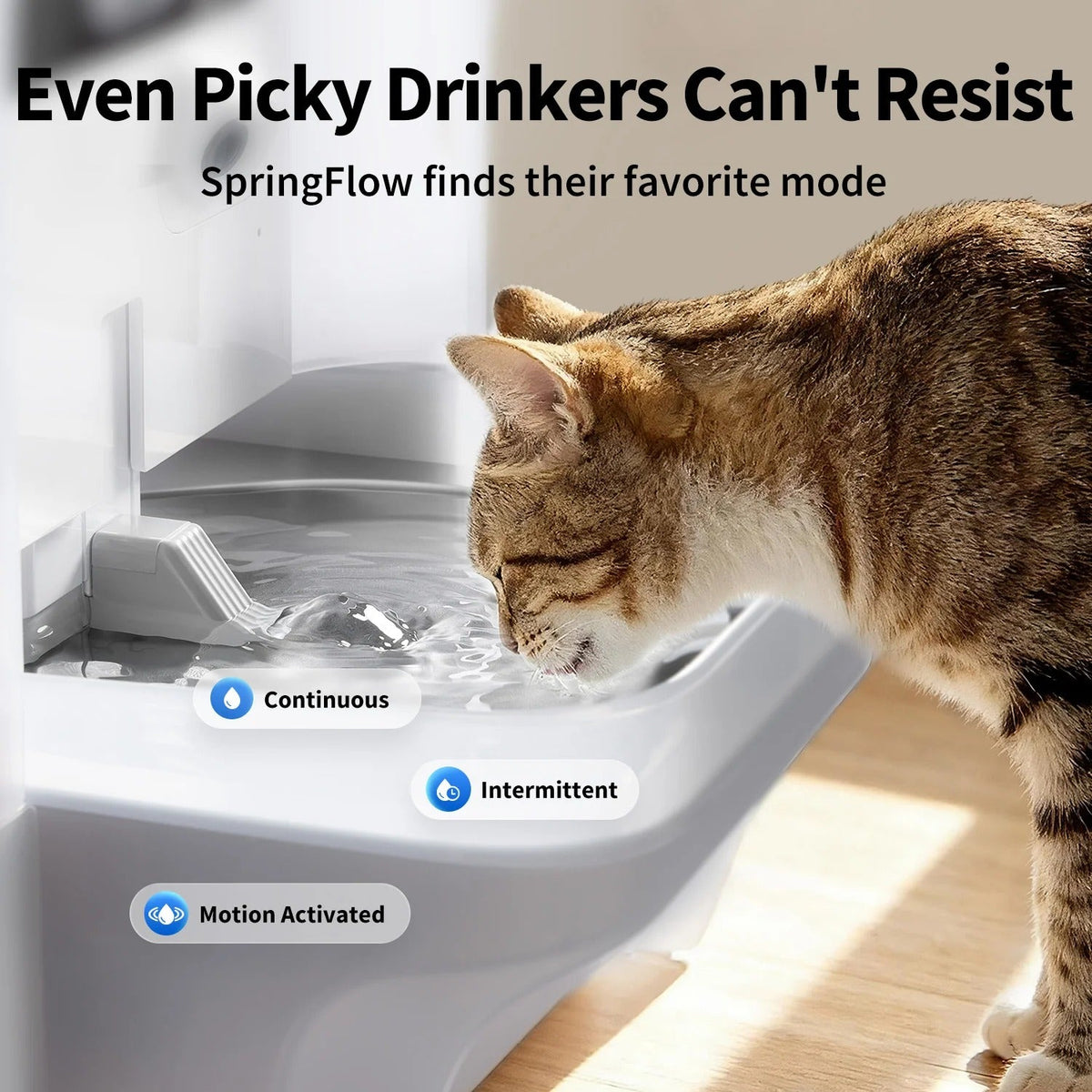 PRE-SALE：EverSweet Ultra with Camera Pet Water Fountain