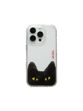Peekaboo Big cat case